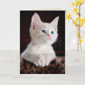 Angel kitten wenskaart kaart (Gele Bloem)