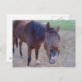 Angel Laugh Briefkaart (Voorkant / Achterkant)