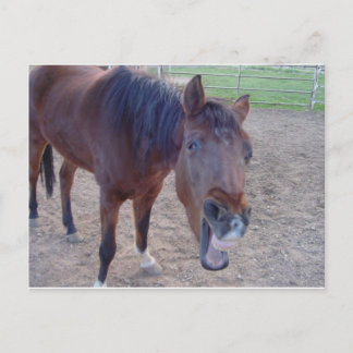 Angel Laugh Briefkaart