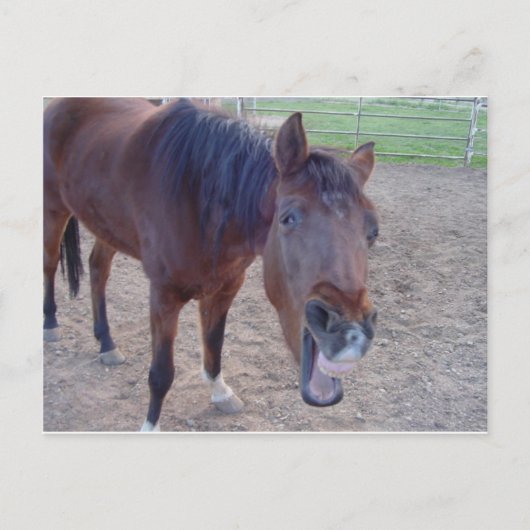 Angel Laugh Briefkaart (Voorkant)