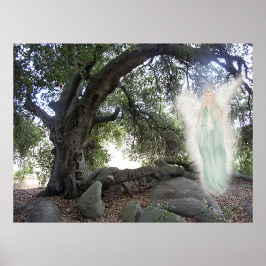 Angel Light Poster (Voorkant)