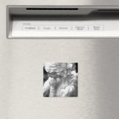 Angel Magneet (Insitu (Vaatwasser))
