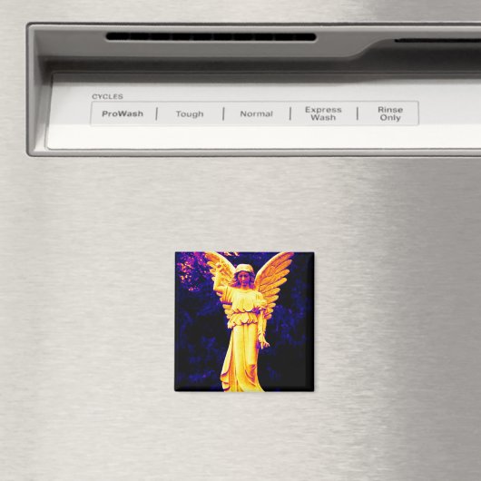 Angel Magneet (Insitu (Vaatwasser))