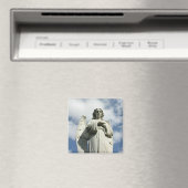 ANGEL Magnet (Insitu (Vaatwasser))