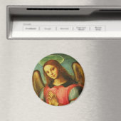 Angel Magnet (Insitu (Vaatwasser))