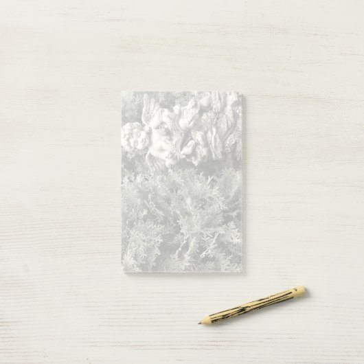 Angel Notes (Op bureau)