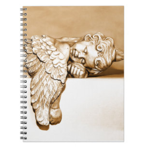 Angel Notitieboek