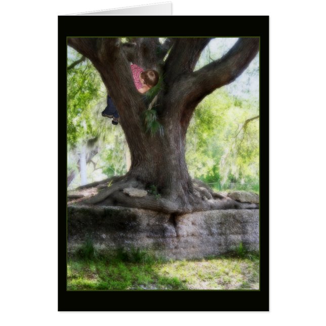 Angel Oak (Voorkant)