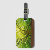Angel Oak Bagagelabel (Voorkant (verticaal))