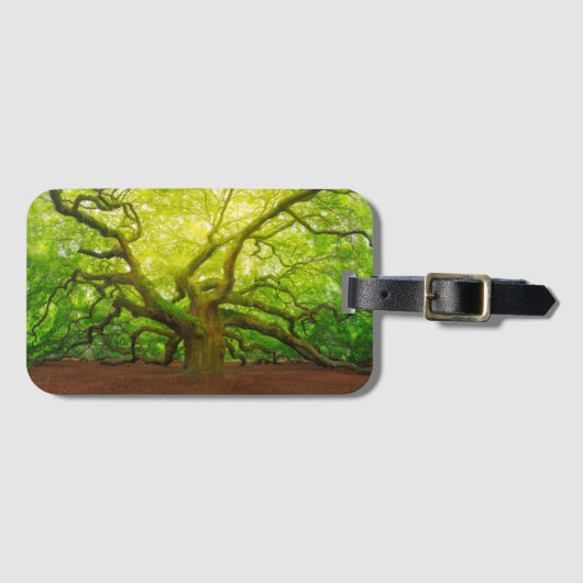 Angel Oak Bagagelabel (Voorkant (horizontaal))