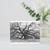 Angel Oak Briefkaart (Staand voorkant)