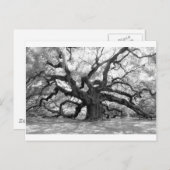 Angel Oak Briefkaart (Voorkant / Achterkant)