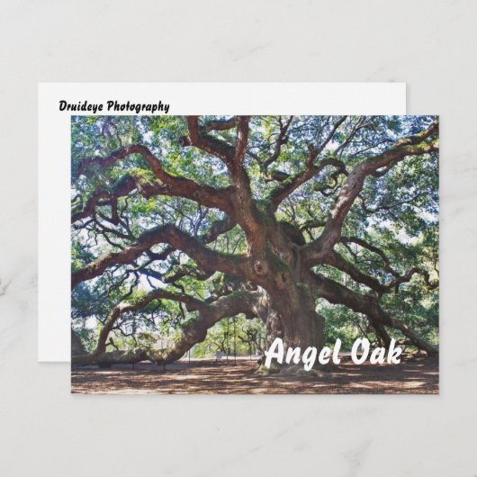 Angel Oak Briefkaart (Voorkant / Achterkant)