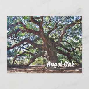 Angel Oak Briefkaart
