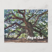 Angel Oak Briefkaart (Voorkant)