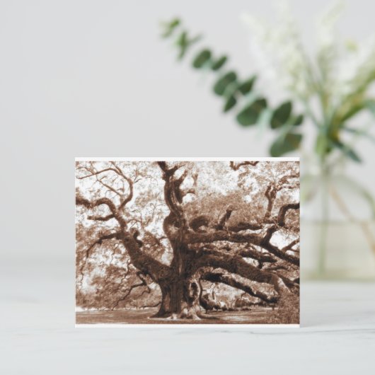 Angel Oak Briefkaart (Staand voorkant)