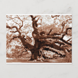 Angel Oak Briefkaart