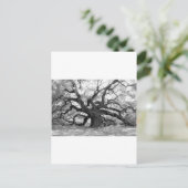 Angel Oak Briefkaart (Staand voorkant)