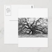 Angel Oak Briefkaart (Voorkant / Achterkant)