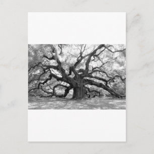Angel Oak Briefkaart