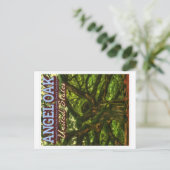 ANGEL OAK - CHARLESTON SOUTH CAROLINA US BRIEFKAART (Staand voorkant)