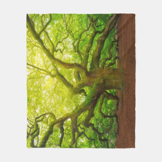 Angel Oak Fleece Deken (Voorkant)