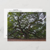 Angel Oak, John's Island, South Carolina Briefkaart (Voorkant / Achterkant)
