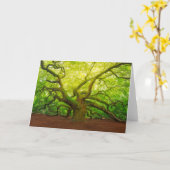 Angel Oak Kaart (Gele Bloem)