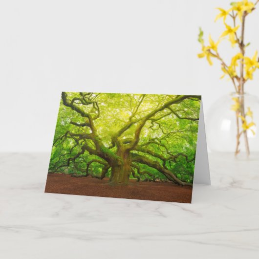 Angel Oak Kaart (Gele Bloem)