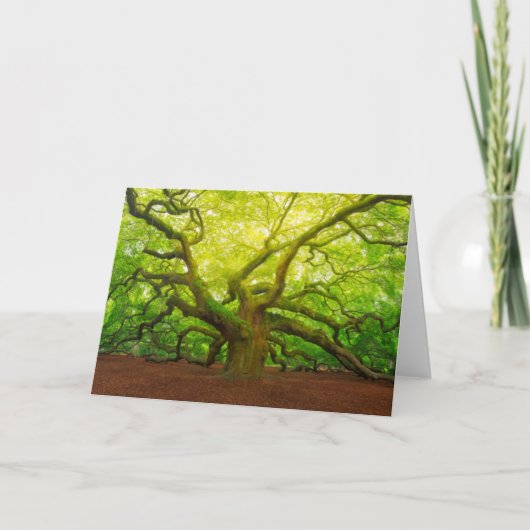 Angel Oak Kaart (Voorkant)