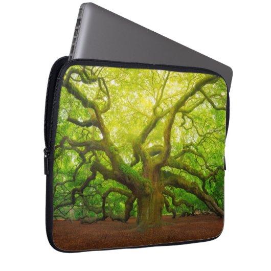 Angel Oak Laptop Sleeve (Voorkant Rechts)