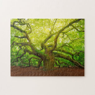 Angel Oak Legpuzzel