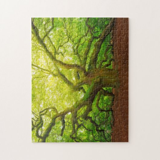 Angel Oak Legpuzzel (Verticaal)