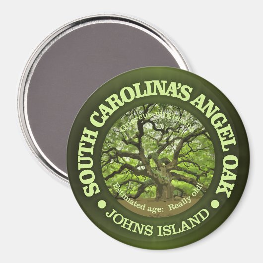 Angel Oak Magneet (Voorkant / Achterkant)