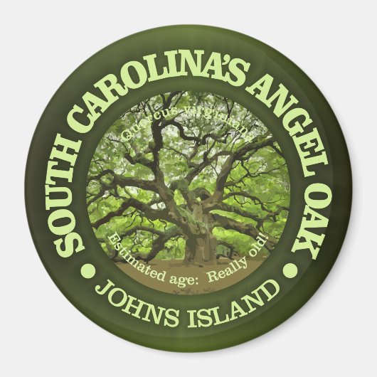 Angel Oak Magneet (Voorkant)