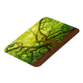 Angel Oak Magneet (Linkerzijde)