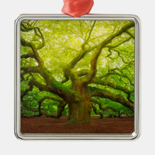 Angel Oak Metalen Ornament (Voorkant)
