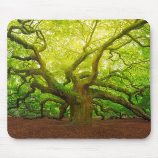 Angel Oak Muismat (Voorkant)