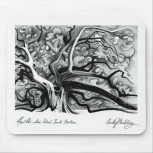 Angel Oak Muismat