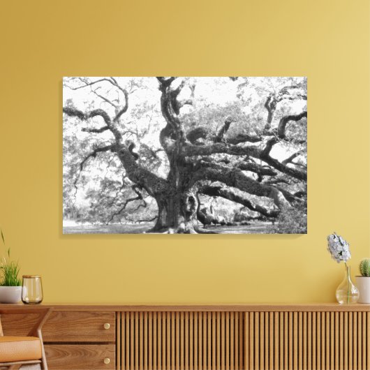 Angel Oak on canvas (Insitu (Woonkamer))