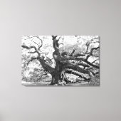 Angel Oak on canvas (Voorkant)