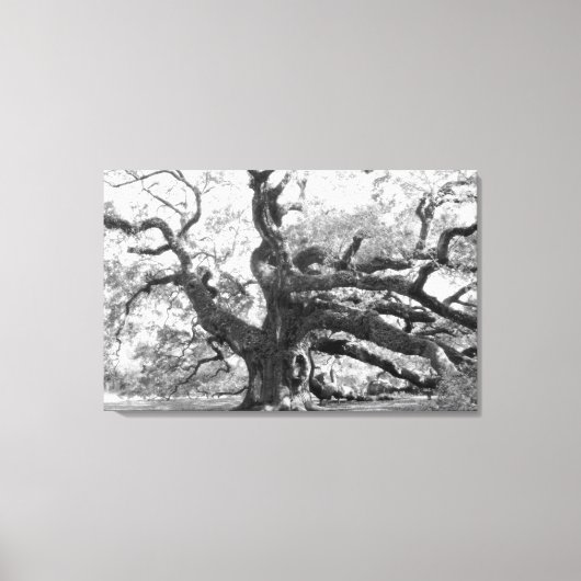 Angel Oak on canvas Afdruk (Voorkant)