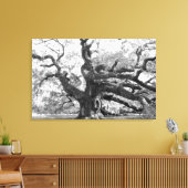 Angel Oak on canvas Afdruk (Insitu (Woonkamer))