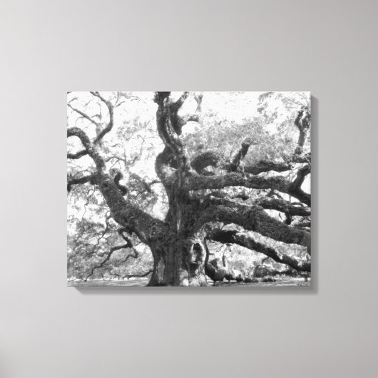 Angel Oak on canvas Afdruk (Voorkant)