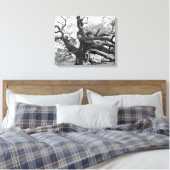 Angel Oak on canvas Afdruk (Insitu (Slaapkamer))