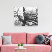 Angel Oak on canvas Afdruk (Insitu (Woonkamer))