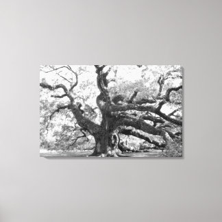 Angel Oak on canvas Afdruk