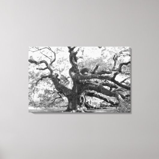 Angel Oak on canvas Afdruk (Voorkant)