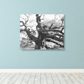 Angel Oak on canvas Afdruk (Insitu (Houten vloer))
