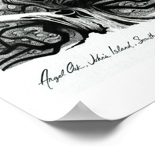 Angel Oak Poster (Hoek)